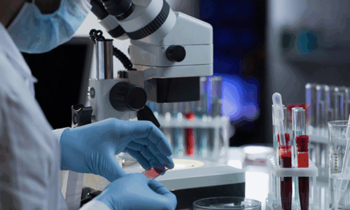 Bachelor of Vocation in Medical Lab Technology (Bvoc MLT)